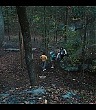 NDF406-058.jpg