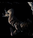 NDF407-260.jpg