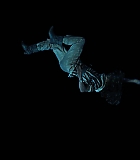 NDF407-263.jpg