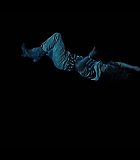 NDF407-264.jpg