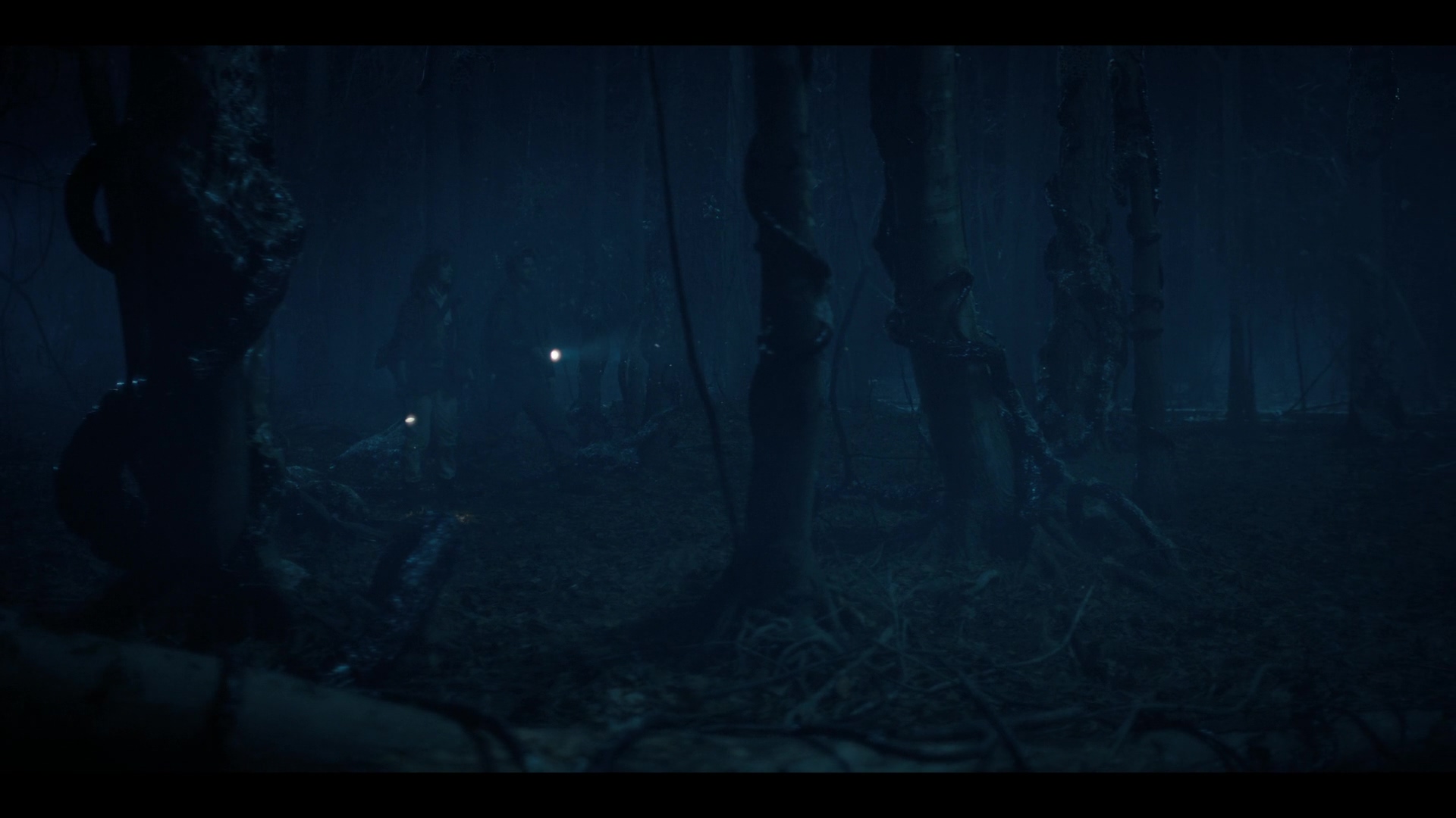 NDF409-043.jpg