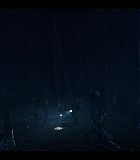 NDF409-054.jpg