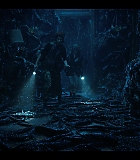 NDF409-133.jpg