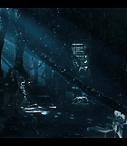 NDF409-173.jpg