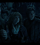 NDF409-208.jpg
