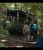 NDF409-255.jpg